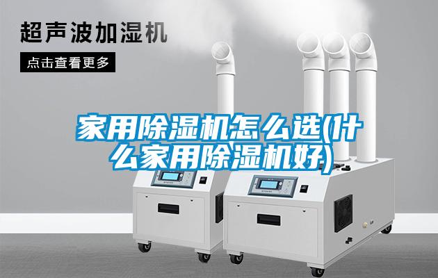 欧美黄色性爱视频网站 家用除湿机怎么选(什么家用除湿机好)