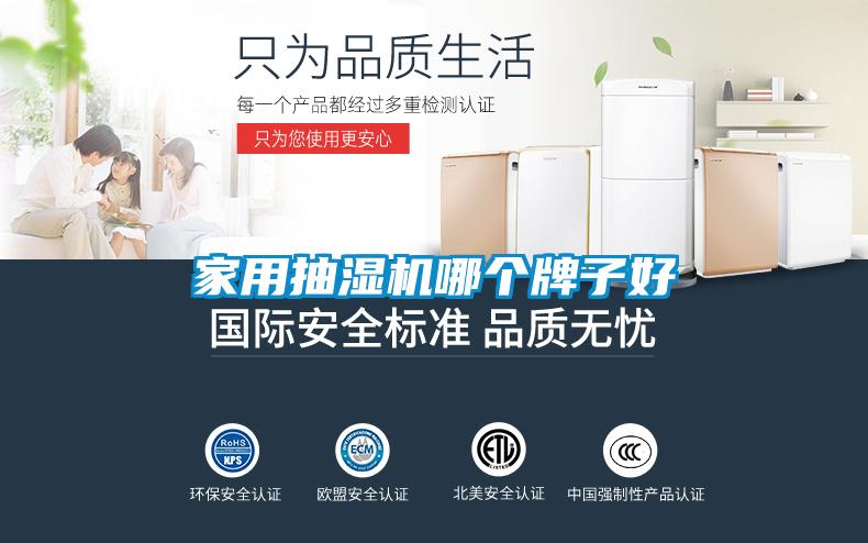 欧美黄色电影在线播放 家用抽湿机哪个牌子好