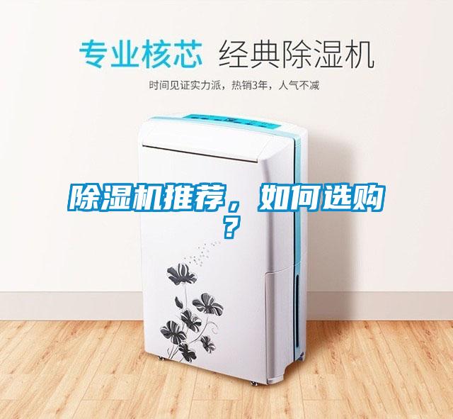 欧美黄色电影在线播放 除湿机推荐，如何选购？