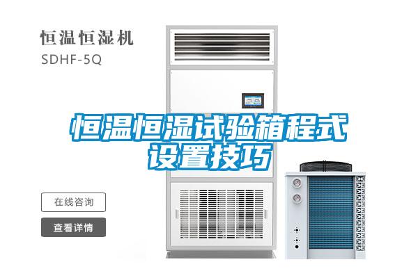 欧美黄色电影在线播放 恒温恒湿试验箱程式设置技巧