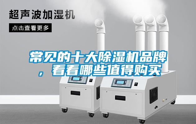 欧美黄色性爱视频网站 常见的十大除湿机品牌，看看哪些值得购买