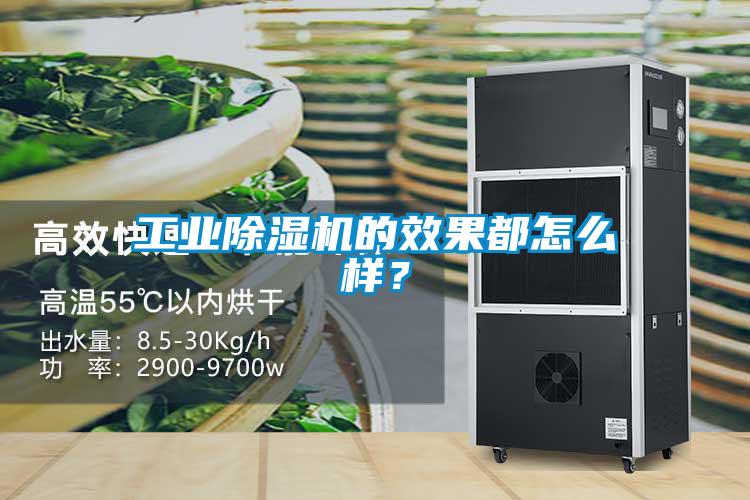 欧美成色手机在线观看 工业除湿机的效果都怎么样？