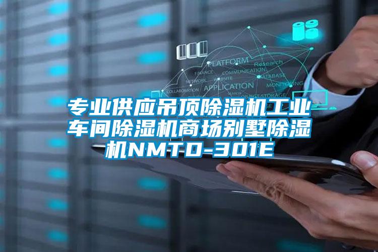 专业供应吊顶除湿机工业车间除湿机商场别墅除湿机NMTD-301E