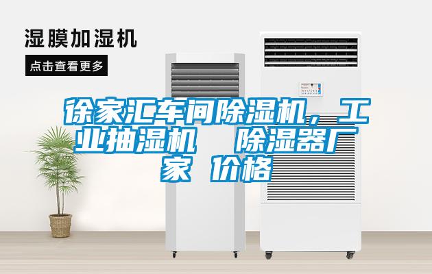 欧美成色手机在线观看 徐家汇车间除湿机，工业抽湿机  除湿器厂家 价格