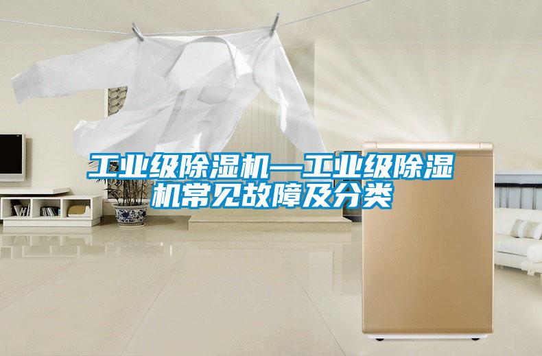 欧美黄色电影在线播放 工业级除湿机—工业级除湿机常见故障及分类