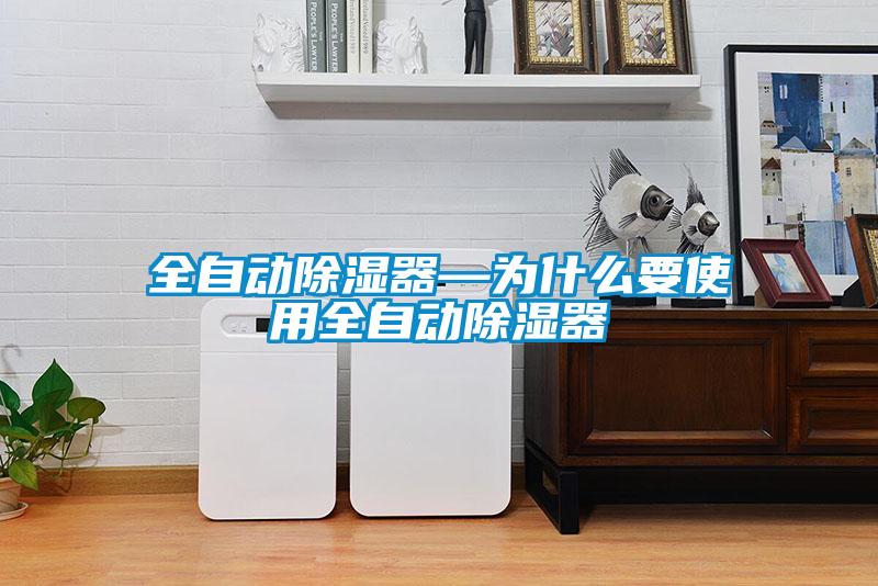 欧美成色手机在线观看 全自动除湿器—为什么要使用全自动除湿器