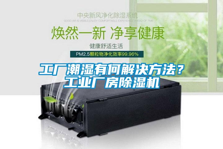 欧美黄色性爱视频网站 工厂潮湿有何解决方法？工业厂房除湿机