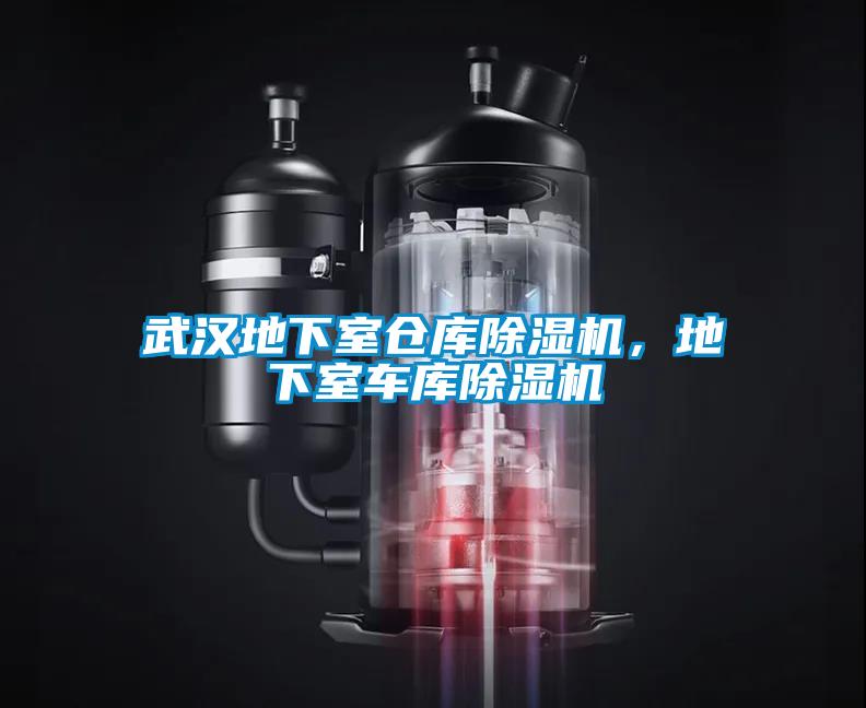 欧美成色手机在线观看 武汉地下室仓库除湿机，地下室车库除湿机
