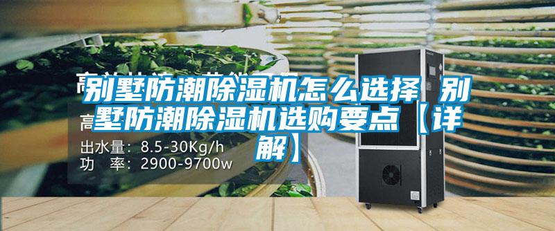 欧美黄色电影在线播放 别墅防潮除湿机怎么选择 别墅防潮除湿机选购要点【详解】