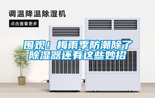 欧美黄色电影在线播放 围观！梅雨季防潮除了除湿器还有这些妙招