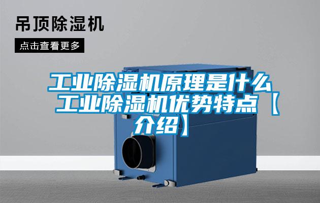 欧美黄色电影在线播放 工业除湿机原理是什么 工业除湿机优势特点【介绍】