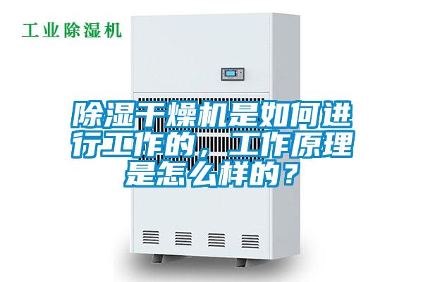 欧美黄色性爱视频网站 除湿干燥机是如何进行工作的，工作原理是怎么样的？