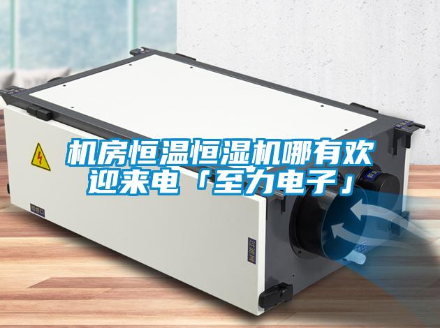 欧美黄色性爱视频网站 机房恒温恒湿机哪有欢迎来电「至力电子」
