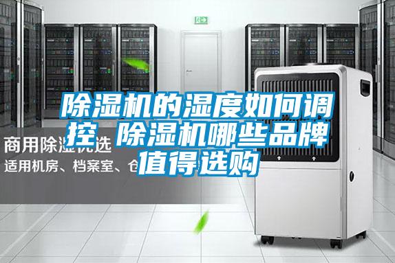 欧美成色手机在线观看 除湿机的湿度如何调控 除湿机哪些品牌值得选购