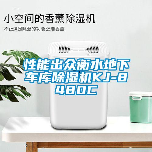 欧美黄色电影在线播放 性能出众衡水地下车库除湿机KJ-8480C