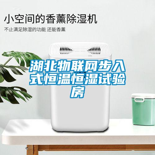 欧美黄色性爱视频网站 湖北物联网步入式恒温恒湿试验房