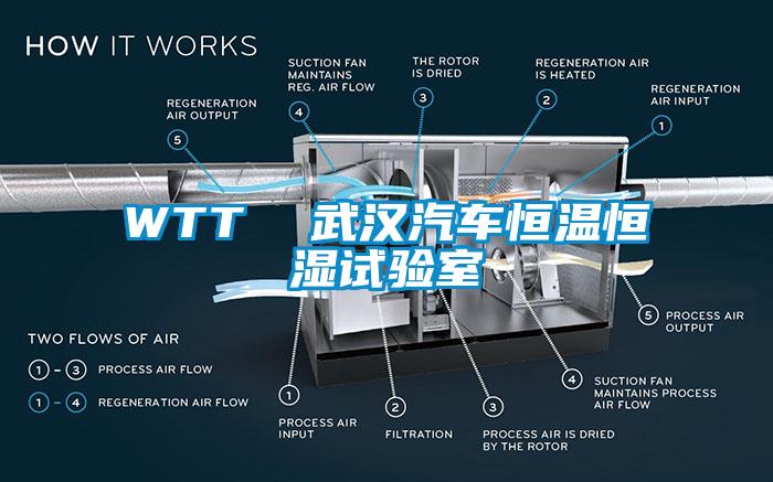 欧美黄色电影在线播放 WTT  武汉汽车恒温恒湿试验室