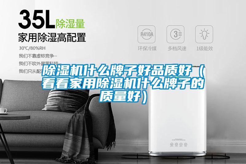 欧美黄色性爱视频网站 除湿机什么牌子好品质好（看看家用除湿机什么牌子的质量好）