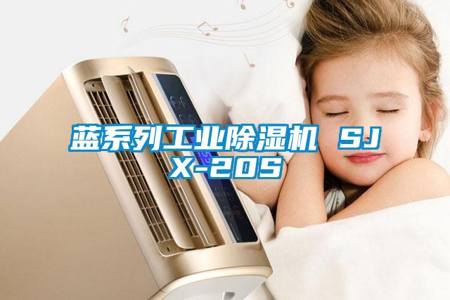 欧美黄色电影在线播放 蓝系列工业除湿机 SJX-20S