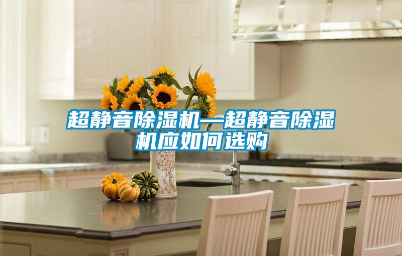 欧美黄色性爱视频网站 超静音除湿机—超静音除湿机应如何选购