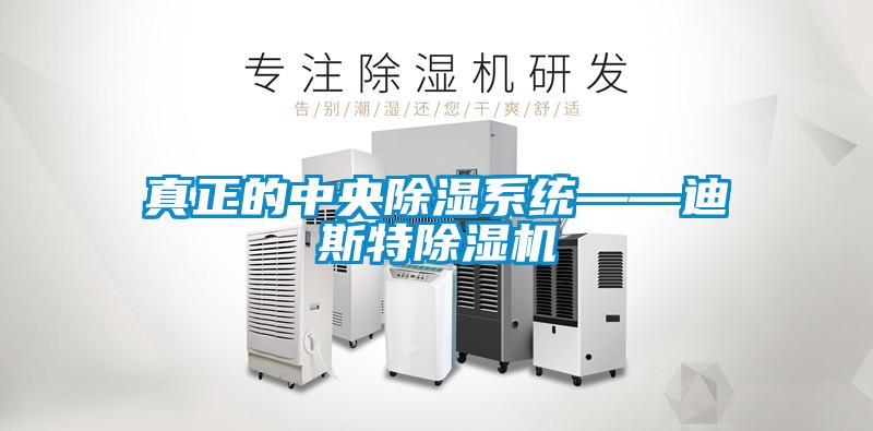 欧美黄色电影在线播放 真正的中央除湿系统——迪斯特除湿机