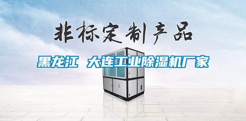 欧美黄色电影在线播放 黑龙江 大连工业除湿机厂家