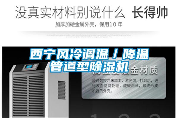 欧美黄色性爱视频网站 西宁风冷调温／降温管道型除湿机