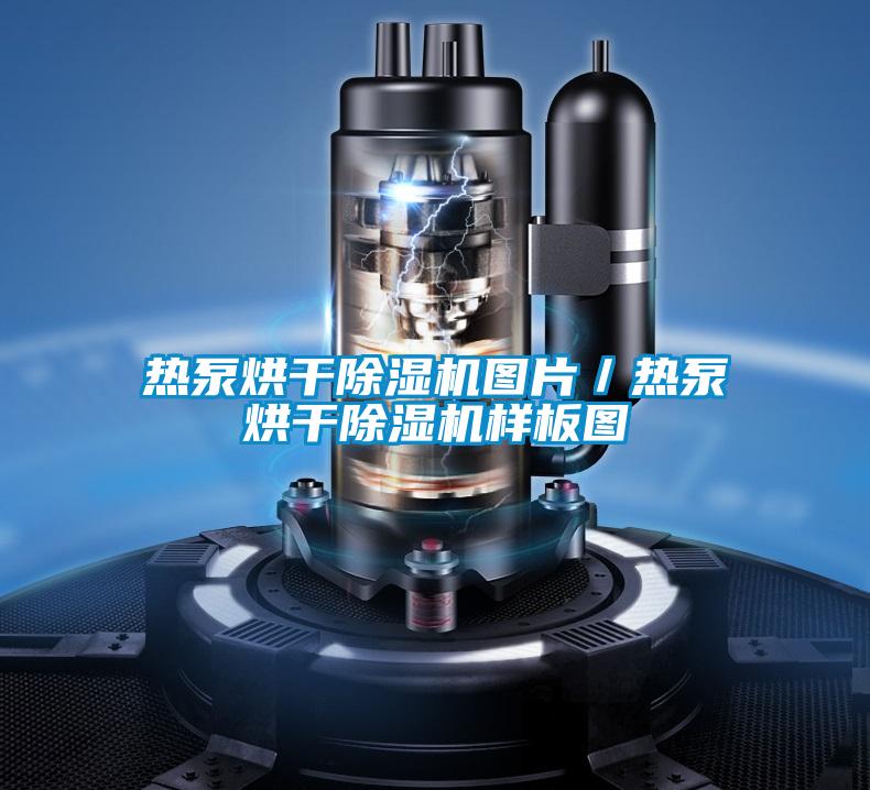 欧美成色手机在线观看 热泵烘干除湿机图片／热泵烘干除湿机样板图