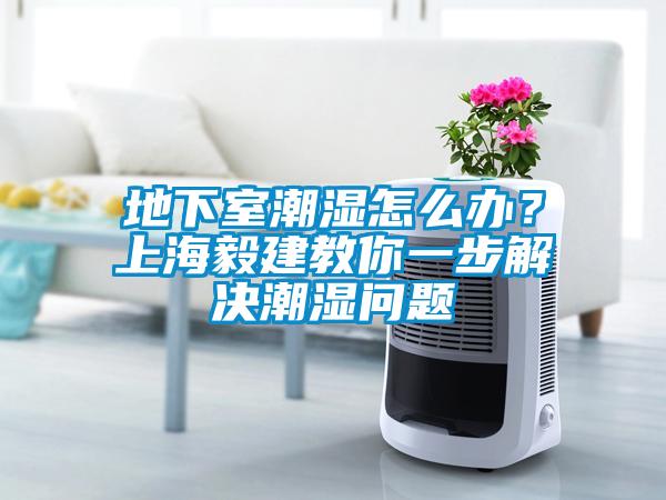 欧美成色手机在线观看 地下室潮湿怎么办？上海毅建教你一步解决潮湿问题