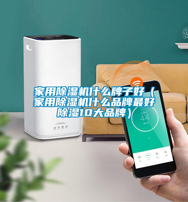 欧美成色手机在线观看 家用除湿机什么牌子好（家用除湿机什么品牌最好除湿10大品牌）