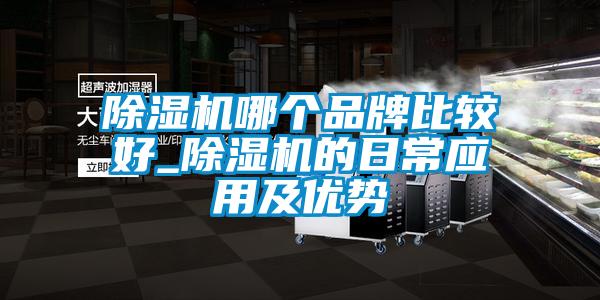 欧美黄色性爱视频网站 除湿机哪个品牌比较好_除湿机的日常应用及优势