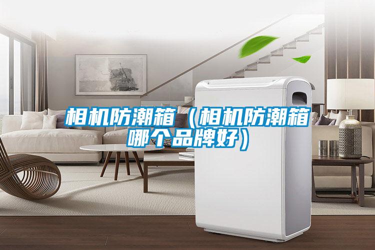 欧美黄色电影在线播放 相机防潮箱（相机防潮箱哪个品牌好）
