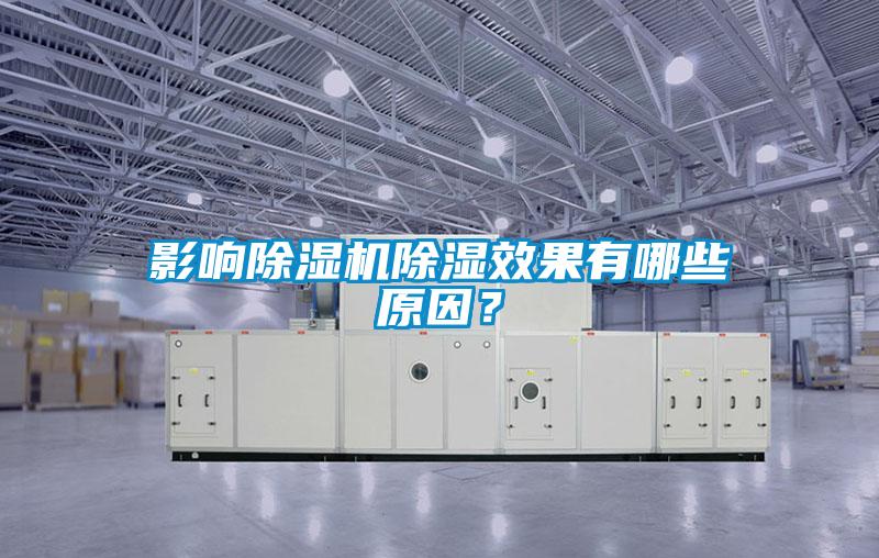 欧美成色手机在线观看 影响除湿机除湿效果有哪些原因？