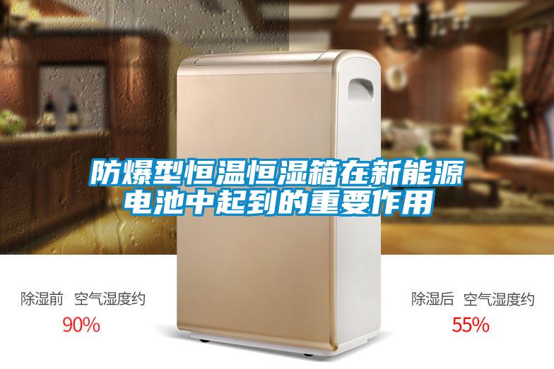 欧美黄色性爱视频网站 防爆型恒温恒湿箱在新能源电池中起到的重要作用