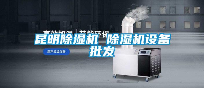 欧美成色手机在线观看 昆明除湿机 除湿机设备批发