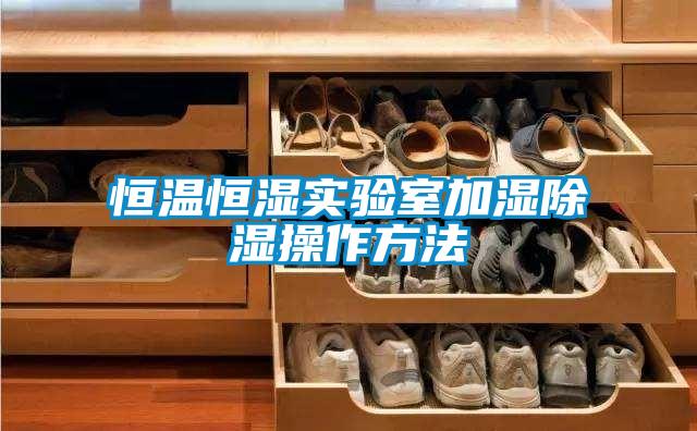 欧美黄色电影在线播放 恒温恒湿实验室加湿除湿操作方法