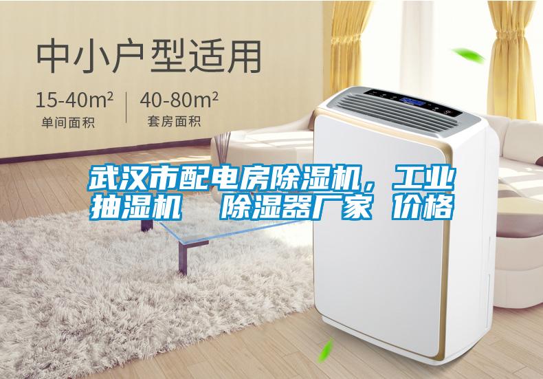 欧美黄色性爱视频网站 武汉市配电房除湿机，工业抽湿机  除湿器厂家 价格