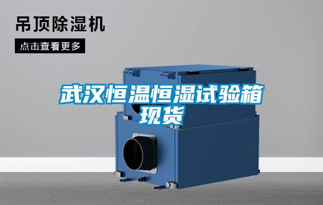 欧美黄色电影在线播放 武汉恒温恒湿试验箱现货