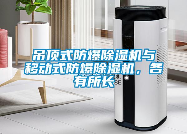欧美黄色电影在线播放 吊顶式防爆除湿机与移动式防爆除湿机，各有所长