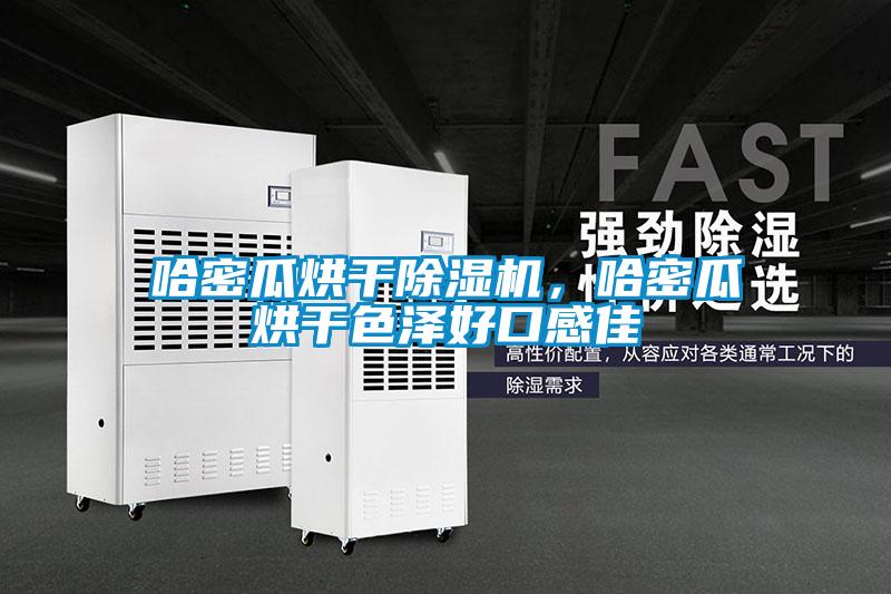 欧美黄色性爱视频网站 哈密瓜烘干除湿机，哈密瓜烘干色泽好口感佳