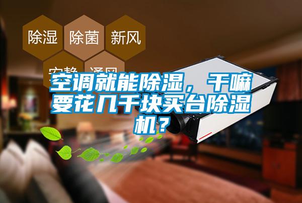 欧美成色手机在线观看 空调就能除湿，干嘛要花几千块买台除湿机？