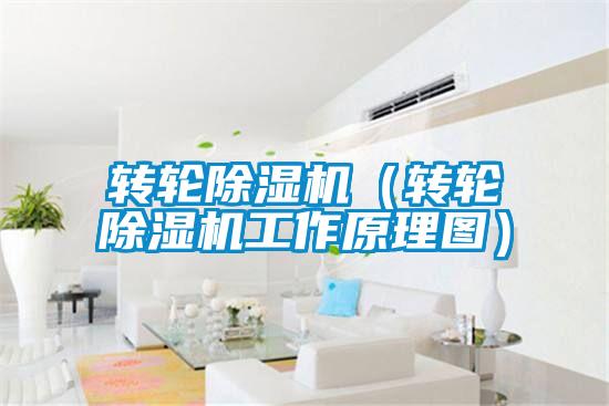 欧美黄色电影在线播放 转轮除湿机（转轮除湿机工作原理图）