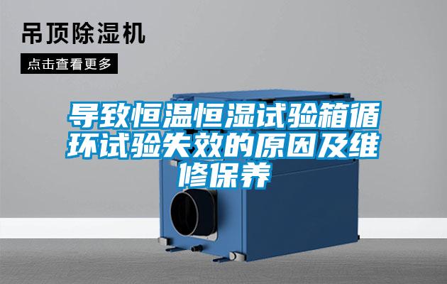欧美黄色电影在线播放 导致恒温恒湿试验箱循环试验失效的原因及维修保养
