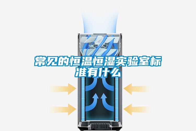 欧美成色手机在线观看 常见的恒温恒湿实验室标准有什么