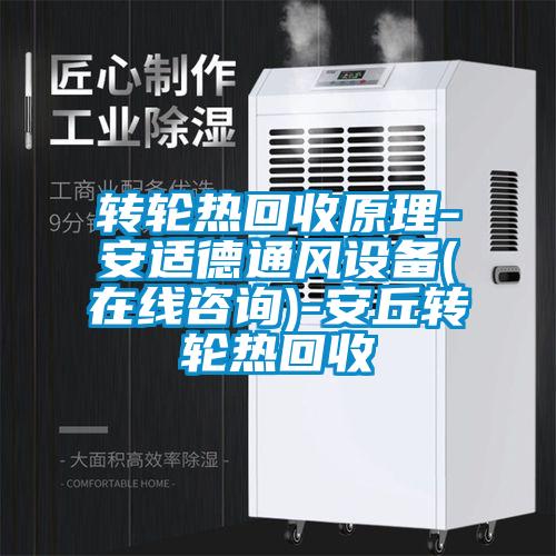 欧美黄色电影在线播放 转轮热回收原理-安适德通风设备(在线咨询)-安丘转轮热回收