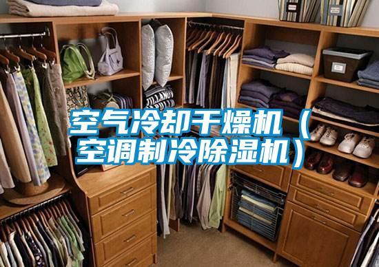 欧美成色手机在线观看 空气冷却干燥机（空调制冷除湿机）