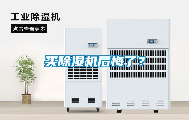 欧美黄色电影在线播放 买除湿机后悔了？