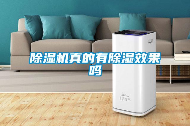 欧美黄色电影在线播放 除湿机真的有除湿效果吗