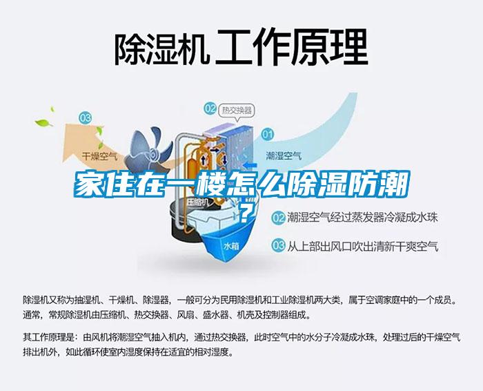 欧美黄色性爱视频网站 家住在一楼怎么除湿防潮？