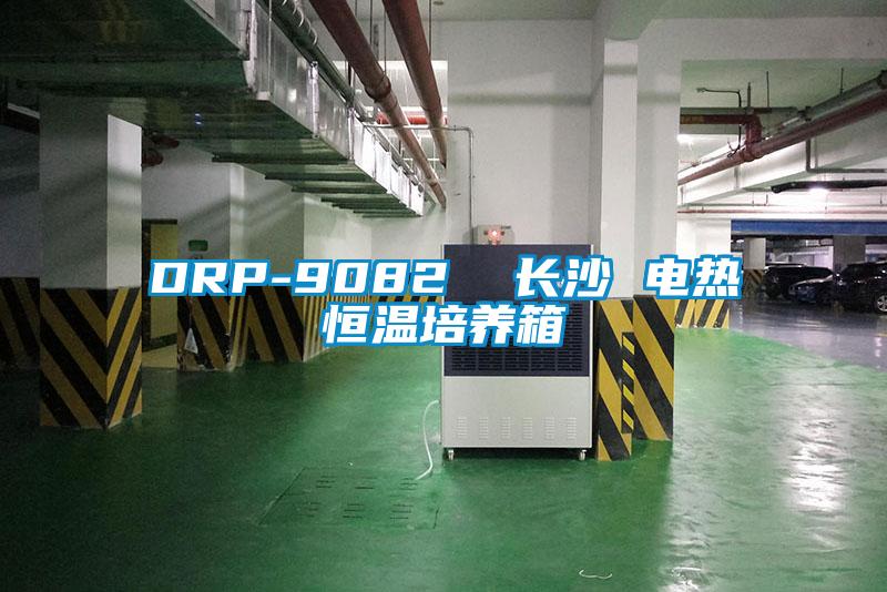 欧美成色手机在线观看 DRP-9082  长沙 电热恒温培养箱